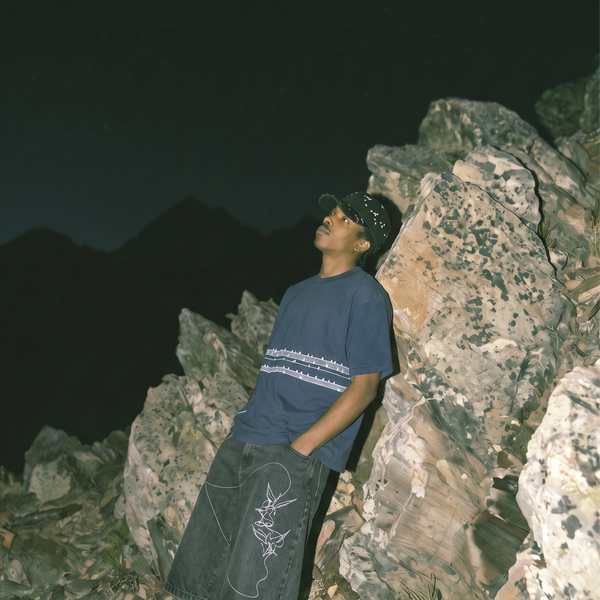 "migration" tee
