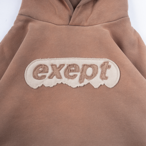 "mountain-top" hoodie (brown)