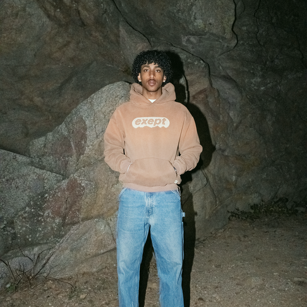 "mountain-top" hoodie (brown)