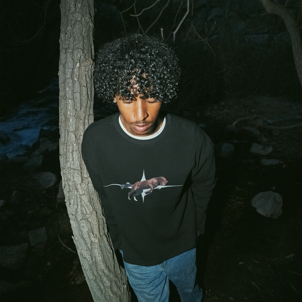 "stallion" thermal