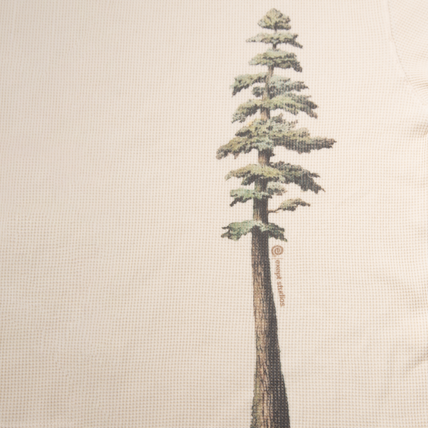 "pine" waffle